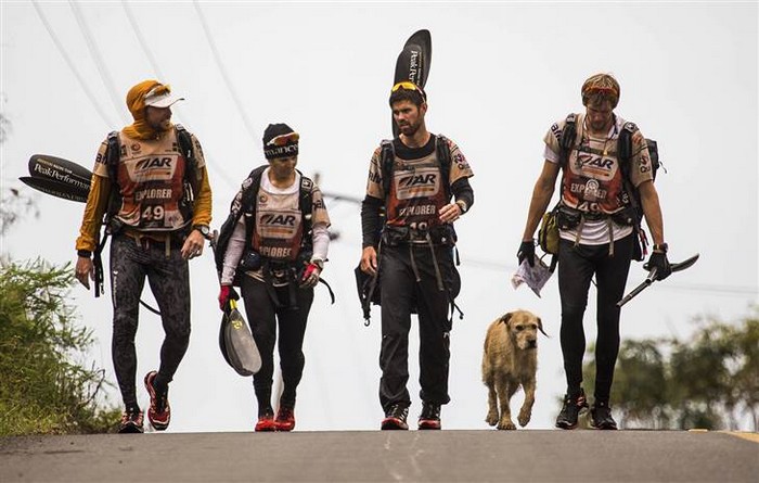 stray-dog-joins-endurance-race-2
