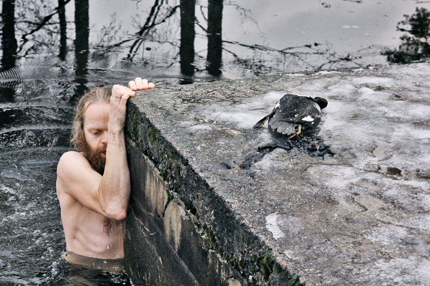 norwegian-man-jumps-into-icy-lake-to-save-duck-4