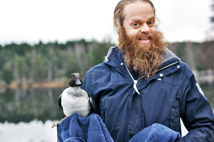 norwegian-man-jumps-into-icy-lake-to-save-duck-7