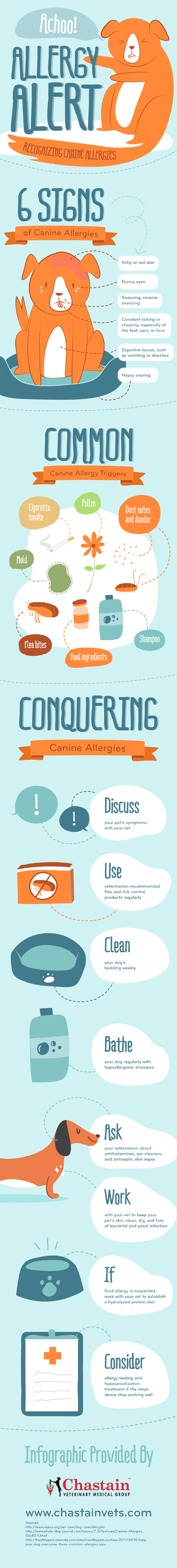 how-to-tell-if-your-dog-has-allergies