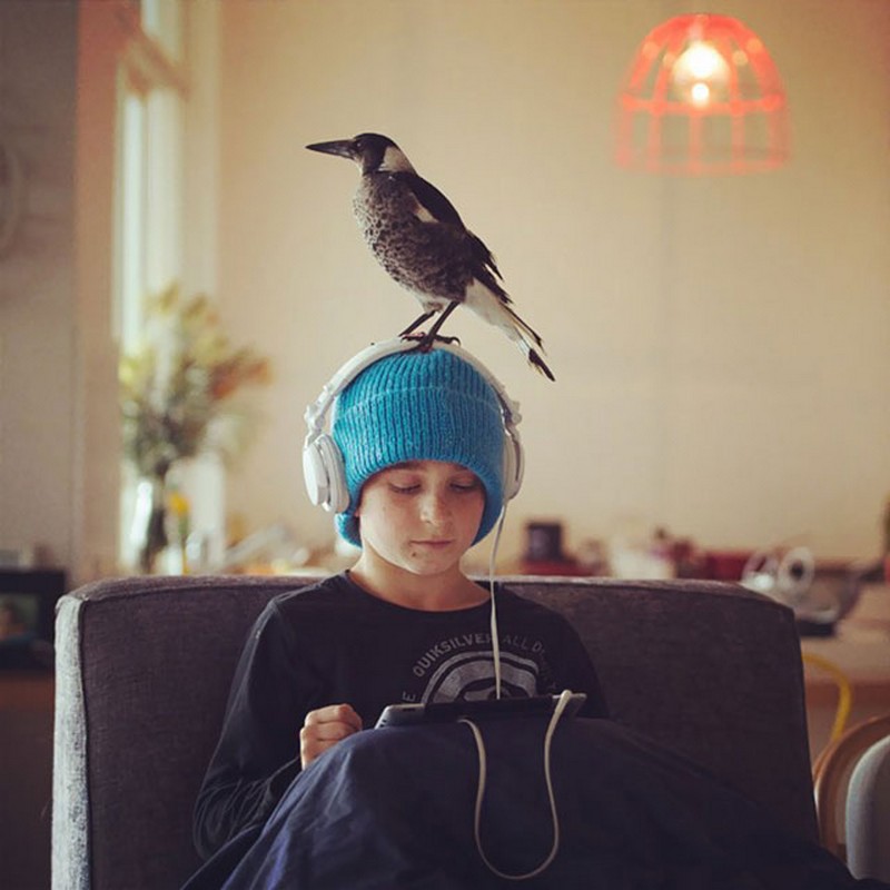 penguin-the-magpie-on-instagram-by-cameron-bloom-12