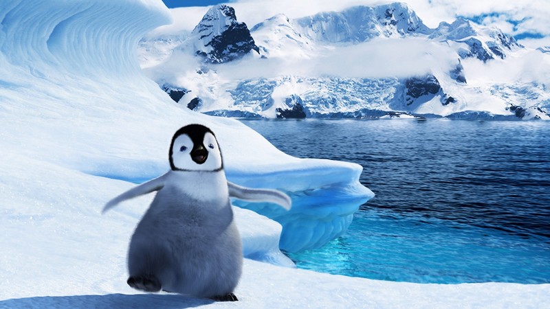 cute-baby-penguin-10