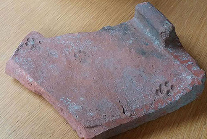 clay-paw-print-cat-roman-tile-gloucestershire-1