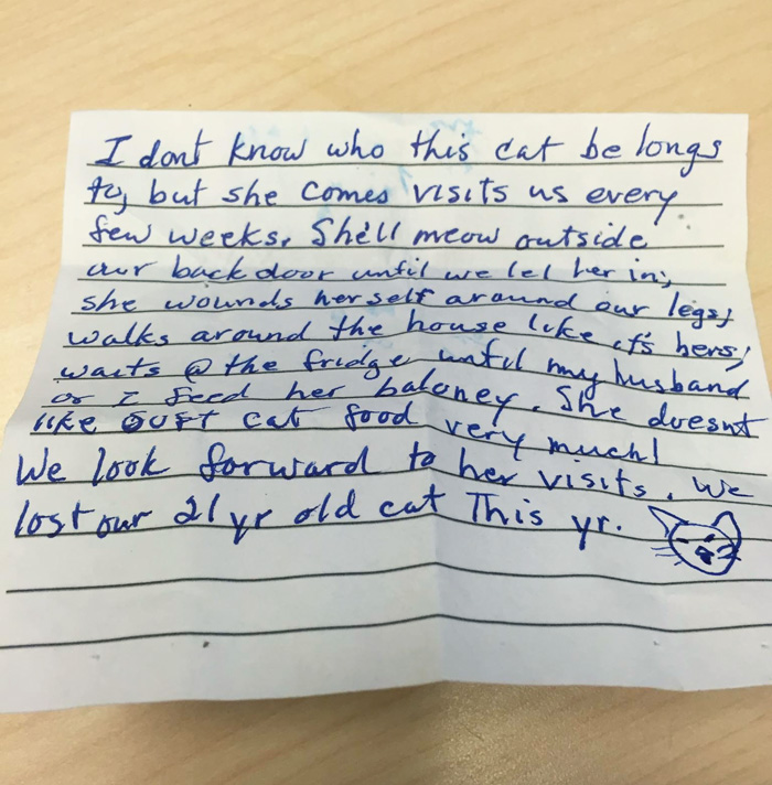 cat-arrives-with-letter-from-secret-family-13