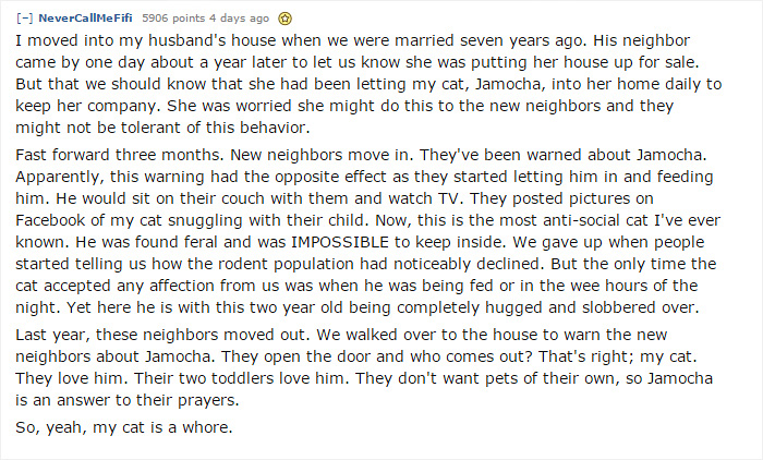 cat-arrives-with-letter-from-secret-family-9