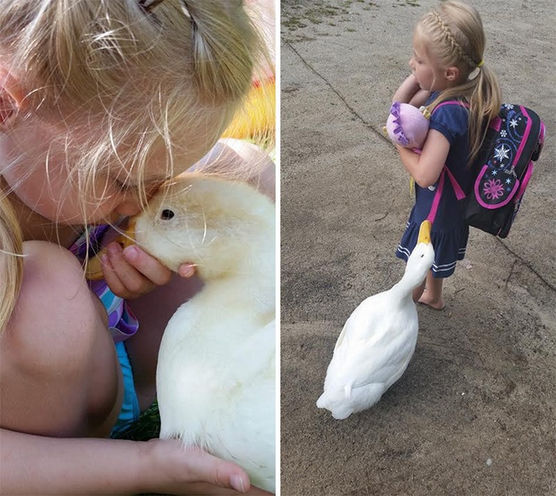 little-girl-and-her-duck-2