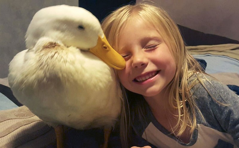 little-girl-and-her-duck-8
