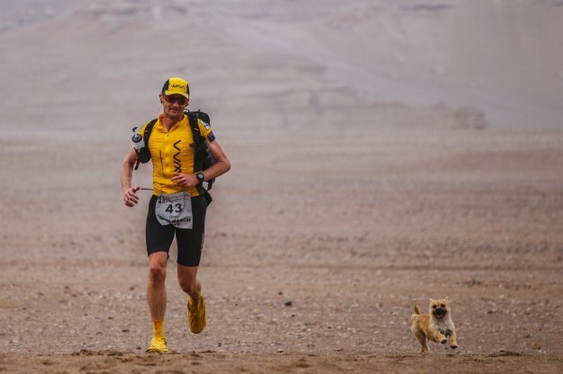stray-dog-adoped-by-marathon-runner-2